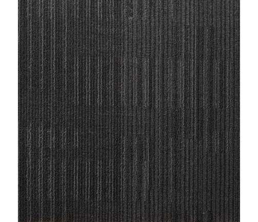 Arizona Black 1