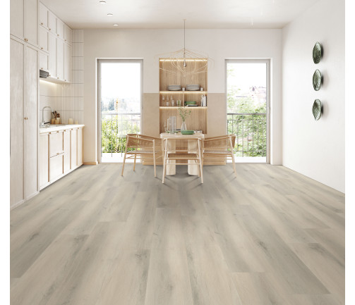 Modern Kitchen Interior