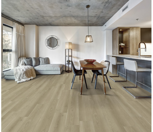 Canadian Apartment In New Apartment Building In Griffintown, Montreal Area