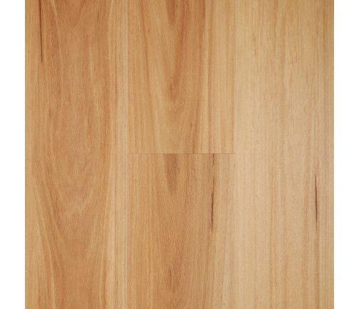 Blackbutt [iconic] Min