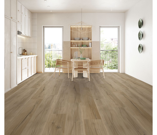 Modern Kitchen Interior