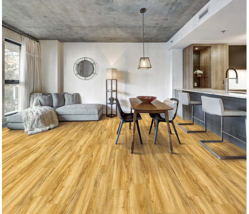Canadian Apartment In New Apartment Building In Griffintown, Montreal Area