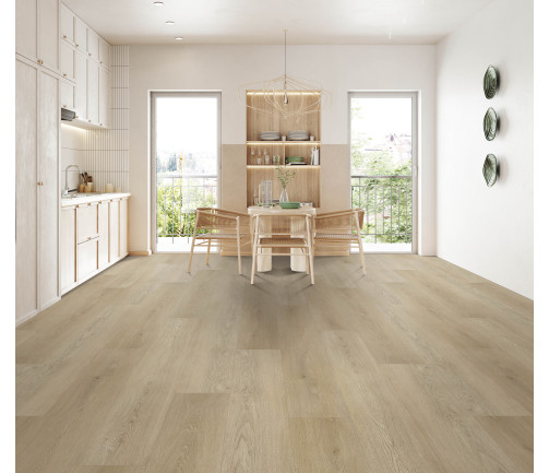 Modern Kitchen Interior