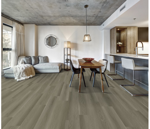 Canadian Apartment In New Apartment Building In Griffintown, Montreal Area