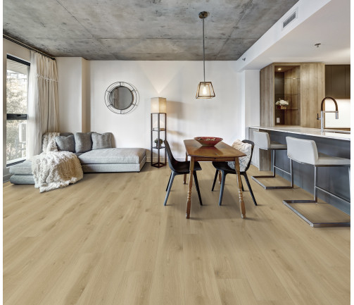 Canadian Apartment In New Apartment Building In Griffintown, Montreal Area