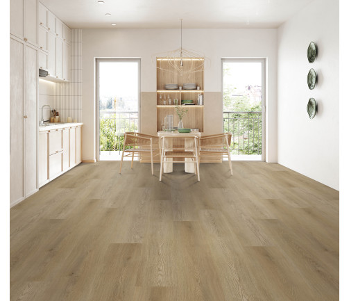 Modern Kitchen Interior