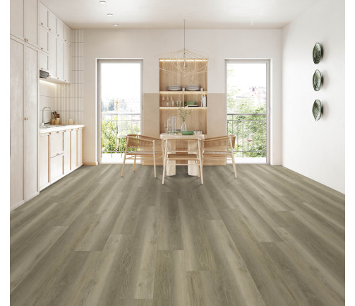Modern Kitchen Interior