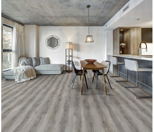 Canadian Apartment In New Apartment Building In Griffintown, Montreal Area
