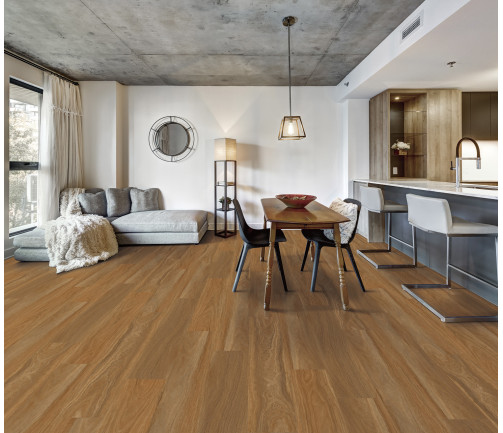 Canadian Apartment In New Apartment Building In Griffintown, Montreal Area