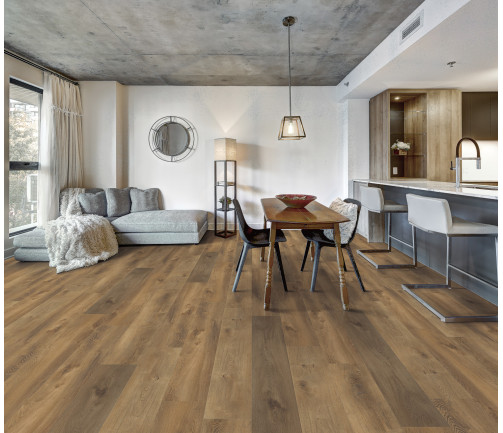 Canadian Apartment In New Apartment Building In Griffintown, Montreal Area