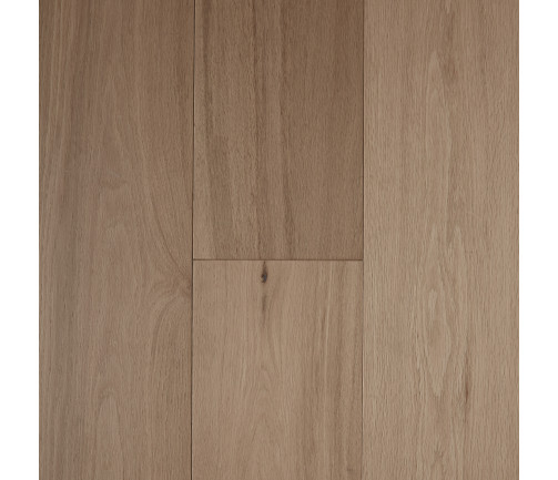 Parchment [pronto]
