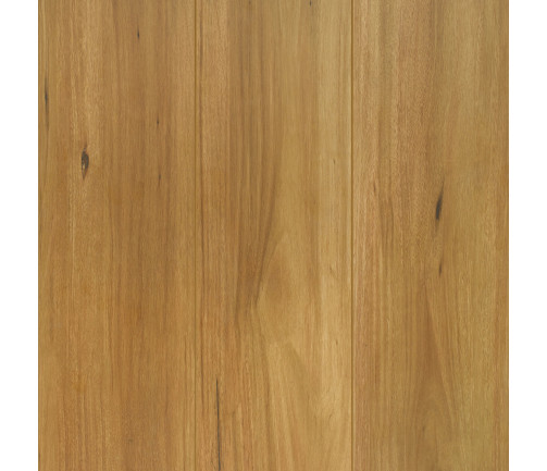 Reflections Laminate Lifestyle Spotted Gum (l111)