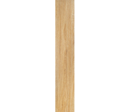 Reflections French Oak 1