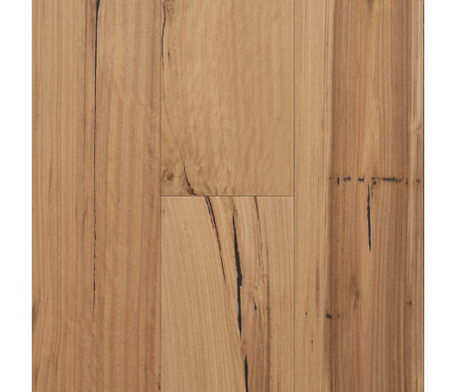 Regency Hardwood Hinterland Swatch Blackbutt