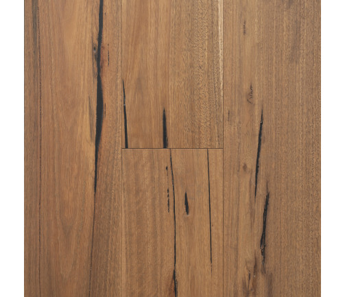Regency Hardwood Hinterland Swatch Spotted Gum