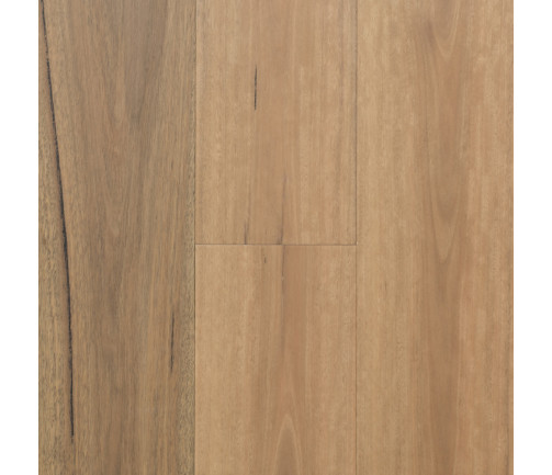 Regency Hardwood Imperial Swatch Spotted Gum (matte 189mm)