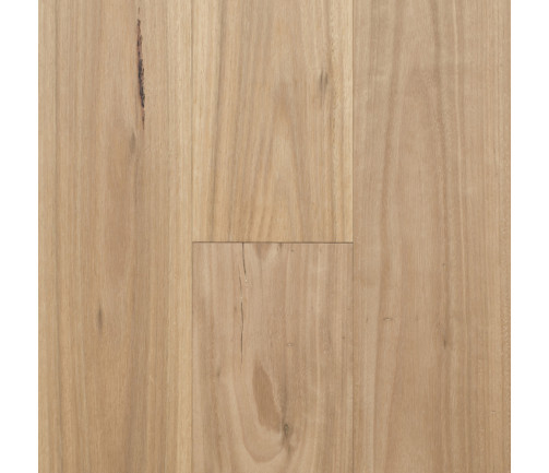 Regency Hardwood Infinite Swatch Blackbutt (189mm)