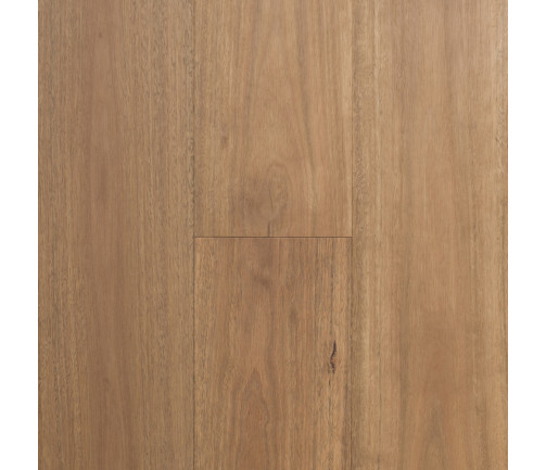 Regency Hardwood Infinite Swatch Spotted Gum (189mm)