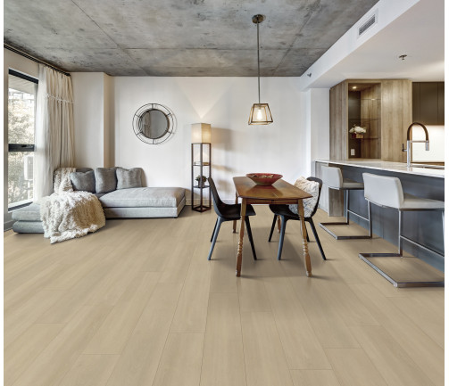 Canadian Apartment In New Apartment Building In Griffintown, Montreal Area
