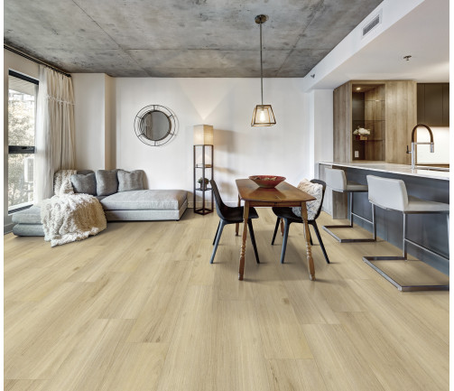 Canadian Apartment In New Apartment Building In Griffintown, Montreal Area