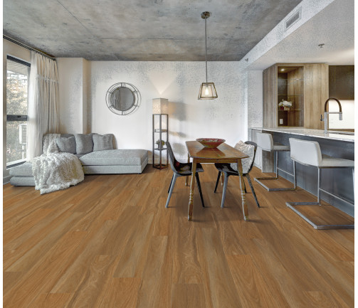 Canadian Apartment In New Apartment Building In Griffintown, Montreal Area