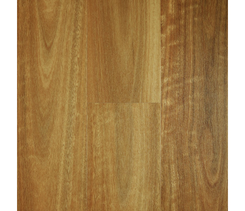 Spotted Gum [iconic] Min