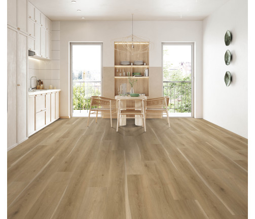 Modern Kitchen Interior