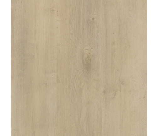 Swatch Kodiak (k398) Shale