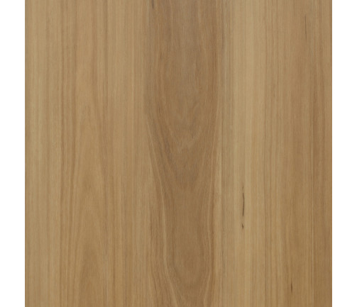 Swatch Kodiak Lite Kl161 Mountain Blackbutt