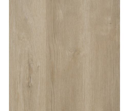 Swatch Kodiak Lite Kl525 Cedar