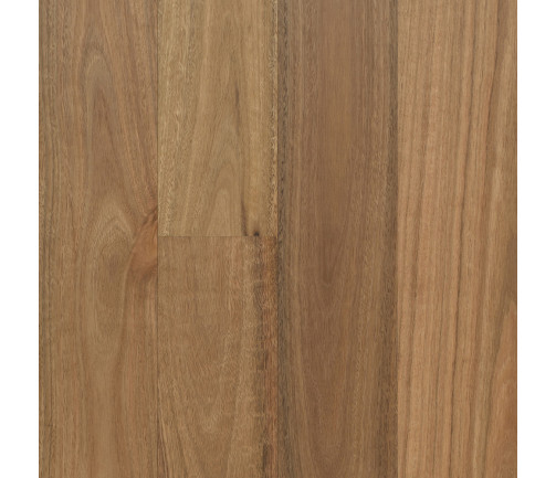 Swatch Opulence Native Collection 136mm Spotted Gum
