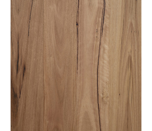 Swatch Opulence Native Collection Authentic Blackbutt 136mm (1)