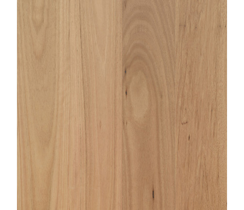 Swatch Opulence Swatch Coastal Blackbutt 136mm