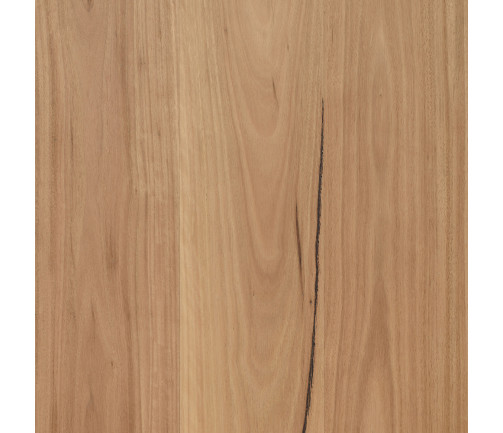 Swatch Opulence Swatch Coastal Blackbutt 180mm