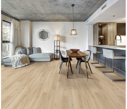Canadian Apartment In New Apartment Building In Griffintown, Montreal Area
