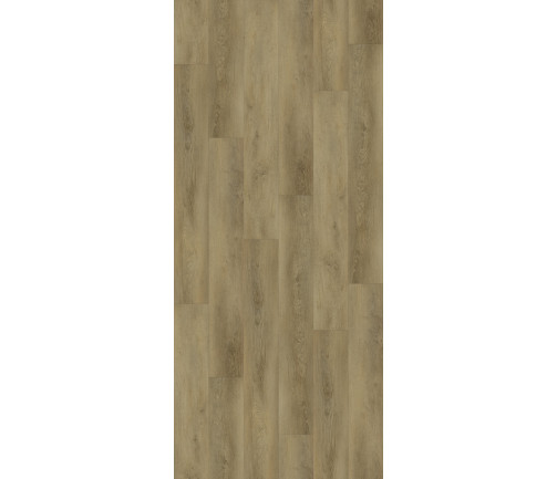Tranquility Bristle Oak 3