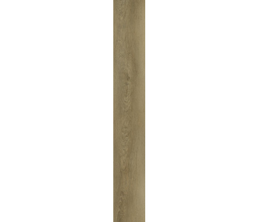 Tranquility Bristle Oak
