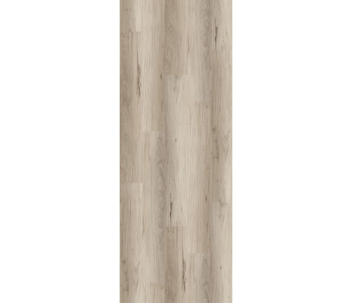 Tranquility Ghost Gum 5