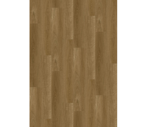 Tranquility Rover Spotted Gum