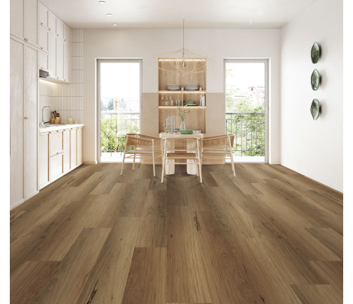 Modern Kitchen Interior