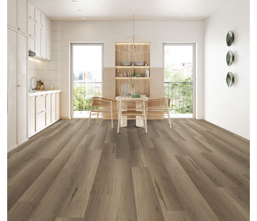 Modern Kitchen Interior