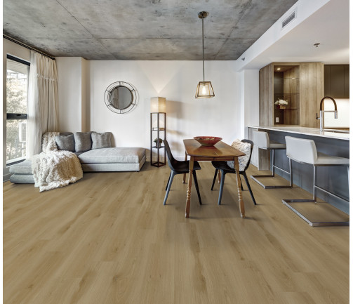 Canadian Apartment In New Apartment Building In Griffintown, Montreal Area