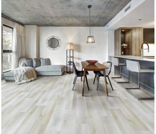 Canadian Apartment In New Apartment Building In Griffintown, Montreal Area