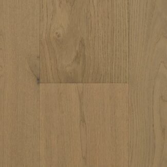 Ast Artistry Insigna Oak Begonia 747x469px 01 Ff83c980d9