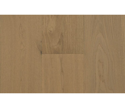Ast Artistry Insigna Oak Begonia 747x469px 01 Ff83c980d9
