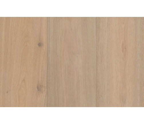 Ast Artistry Insignia Marigold 747x469px 02 0f5b26c912