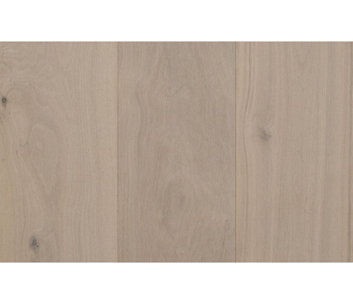 Ast Artistry Insignia Snowdrop 747x469px 02 B76f66f7aa