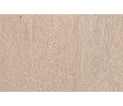 Ast Gencore Ivory Cotton 747x469px 01 A4213c6304