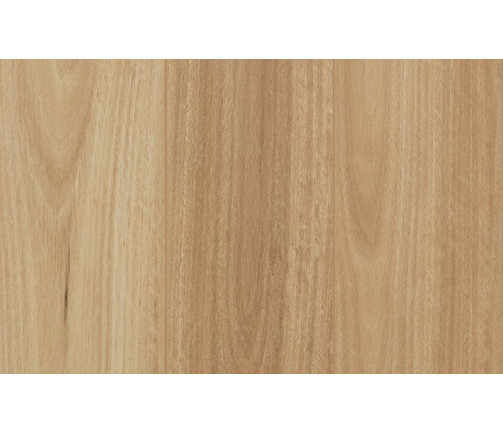 Ast Gencore Mid Coast Blackbutt 747x469px 01 A5a0207011
