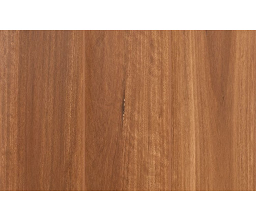 Ast Gencore Northern Rivers Brushbox 747x469px 01 4077683eca